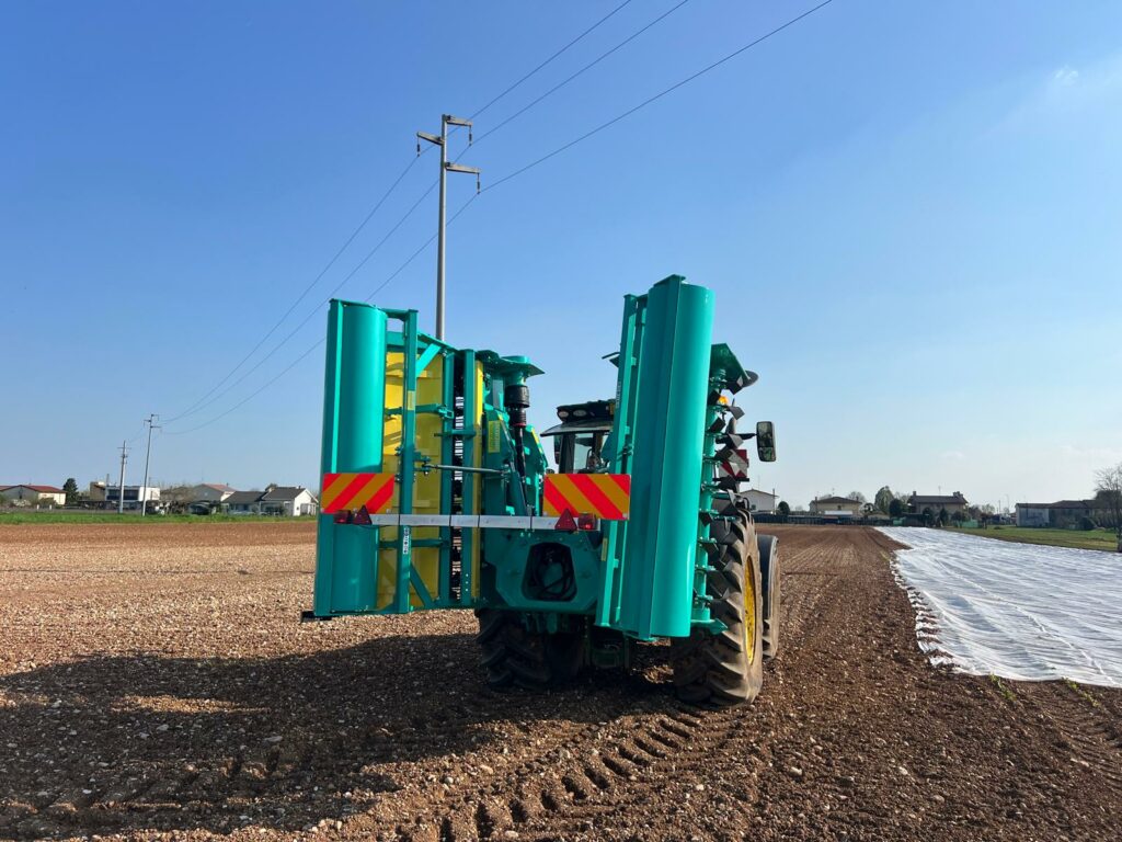 cosa abbiamo imparato in un anno