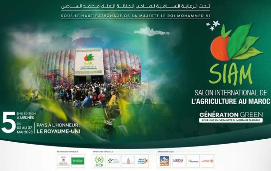 Fiera agricola marocco